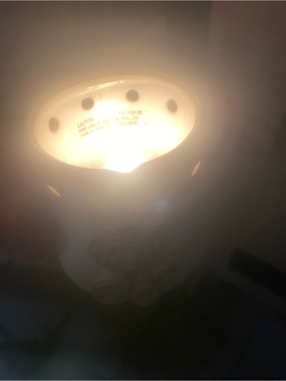 Scentsy brand wax warmer
